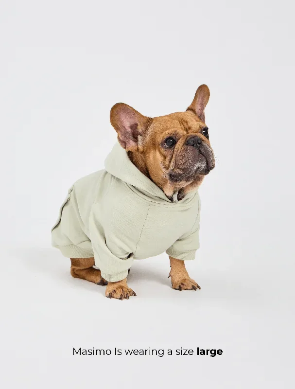 dog-cloud-hoodie-pistachio