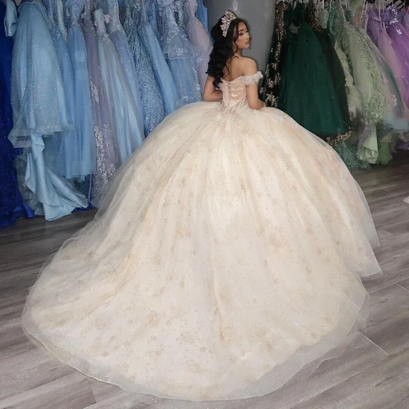 light-champagne-princess-quinceanera-dresses-applique-flower-beads-tull-corset-sweet-16-dress-vestidos-de-15-anos-birthday