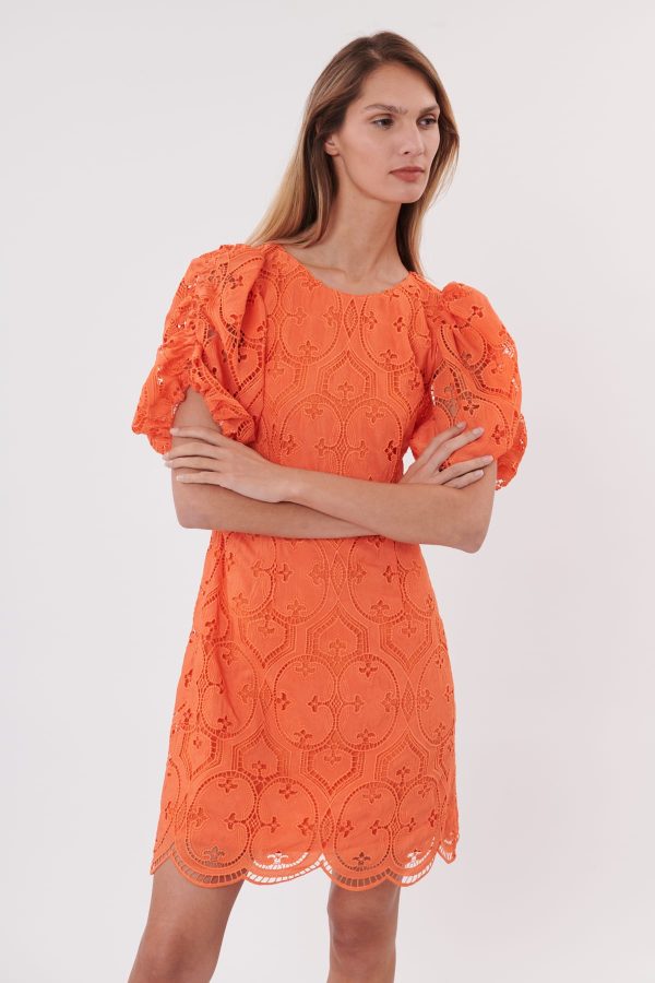 Robe courte droite en dentelle décolleté au dos SACRAMENTO - Image 3