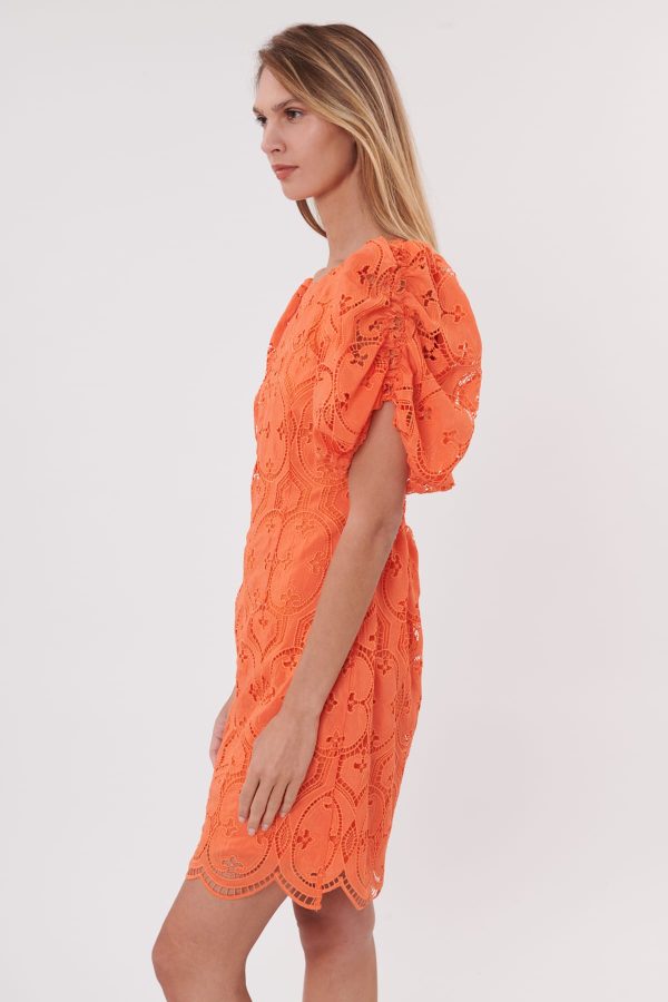 Robe courte droite en dentelle décolleté au dos SACRAMENTO - Image 4