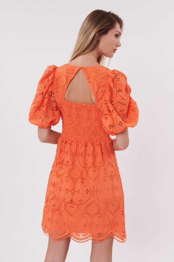 Robe courte droite en dentelle décolleté au dos SACRAMENTO - Image 5